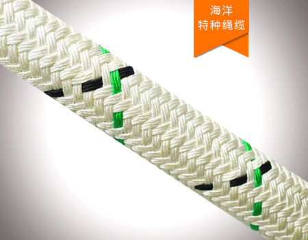 海洋平臺定位系泊纜繩