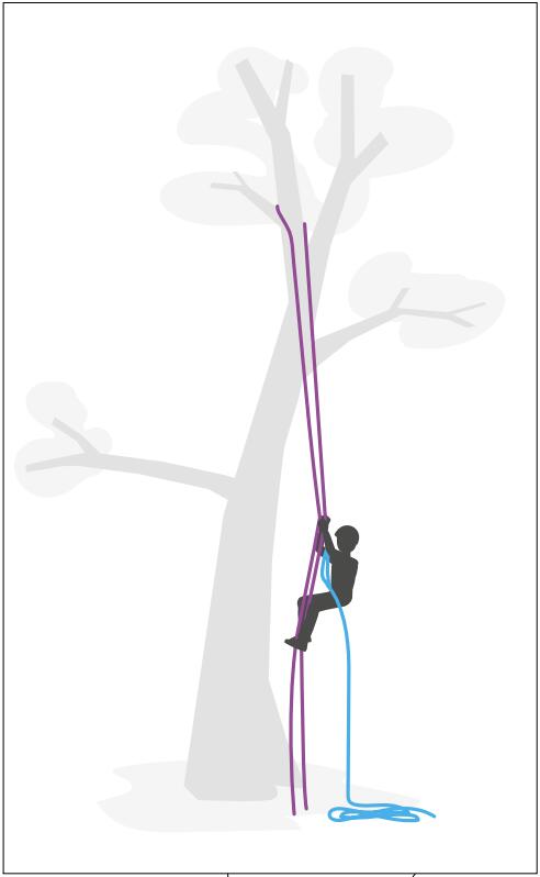 樹(shù)上作業(yè)安全繩索