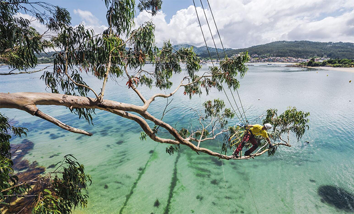 樹(shù)上作業(yè)安全繩索
