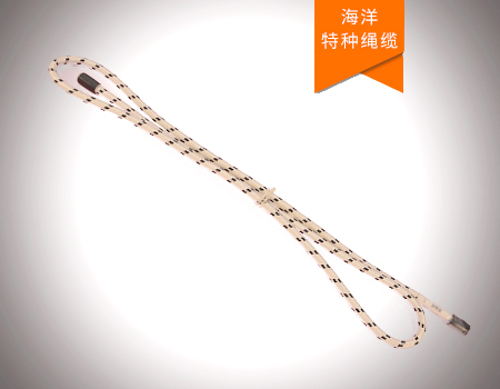 深海潛標(biāo)數(shù)據(jù)實時傳輸繩纜