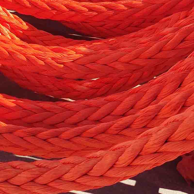 高分子纜繩的價格